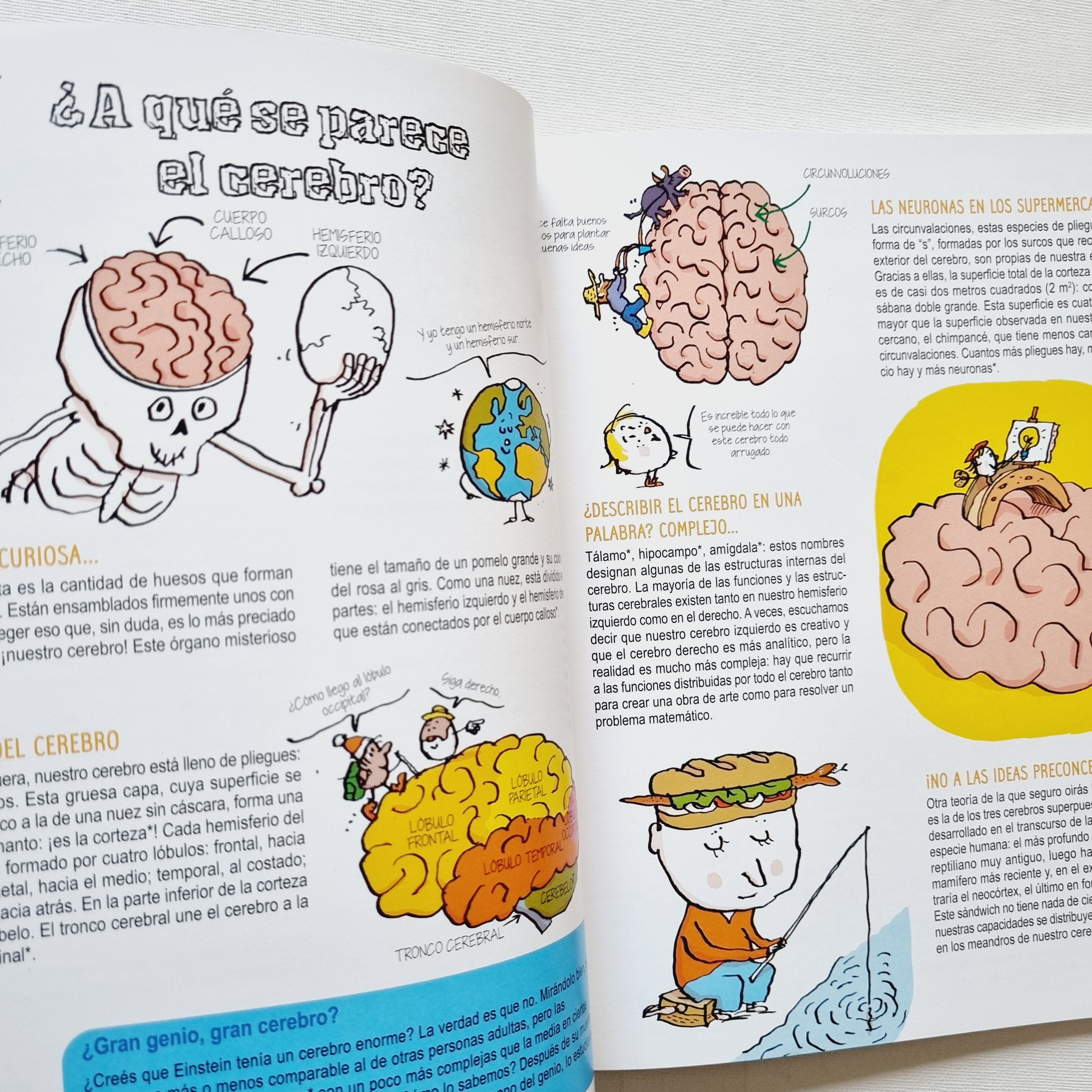 El cerebro para curiosos. De 7 a 107 años El cerebro para curiosos. De 7 a 107 años